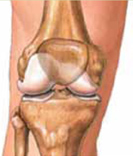 img-healthy-knee